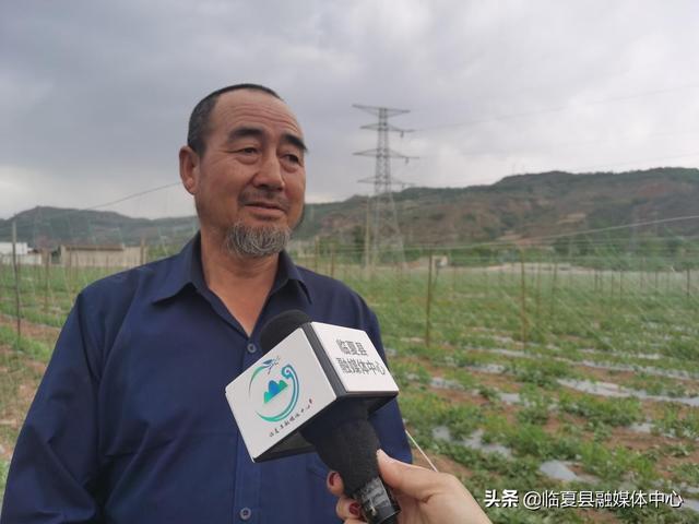 临夏县黄泥湾镇：特色种植助推乡村振兴