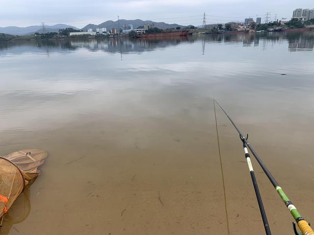 探钓东江摸鱼行动，过程惊险刺激，酸爽