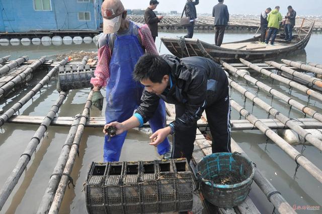 潜心十年育种！青岛海参养殖技术“大拿”获国家级荣誉称号