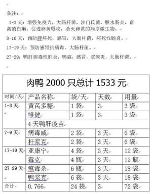 肉鸭的养殖成本(商品肉鸭养多大出售最好？)