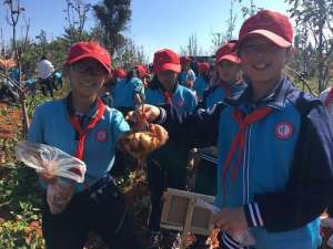 蜗牛无土养殖(昆明推出校外劳动教育基地 将课堂搬到田间)