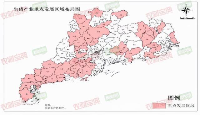 重磅！广东十四五规划42个生猪大县8个肉鸡大市！确保生猪出栏3300万头，规模养殖比例80%以上