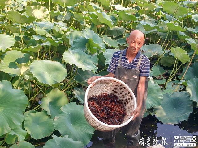 泰安：“10名干部下基层”省派乡村振兴服务队进驻东平县新湖镇