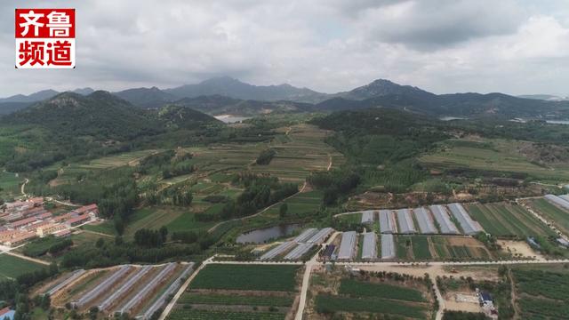 寿光种出“小甜甜”山东果品“果”然霸气