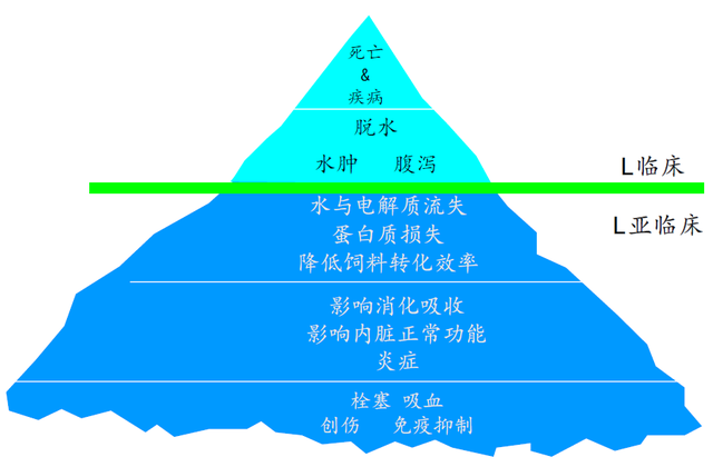 宋荣渊：育肥牛到场操作流程与应激管理