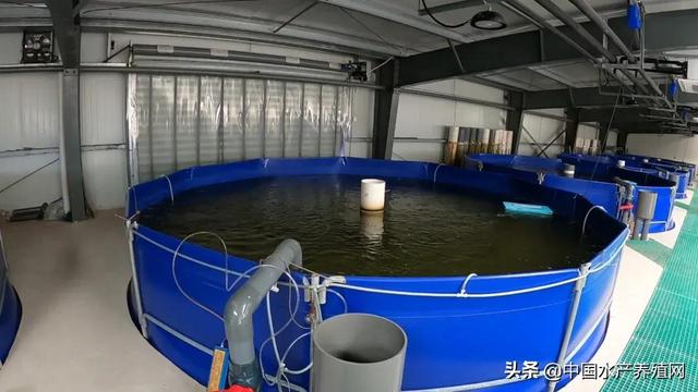 水产养殖规模化，必须摆脱对人的依靠！首家智慧渔业装备城将建成