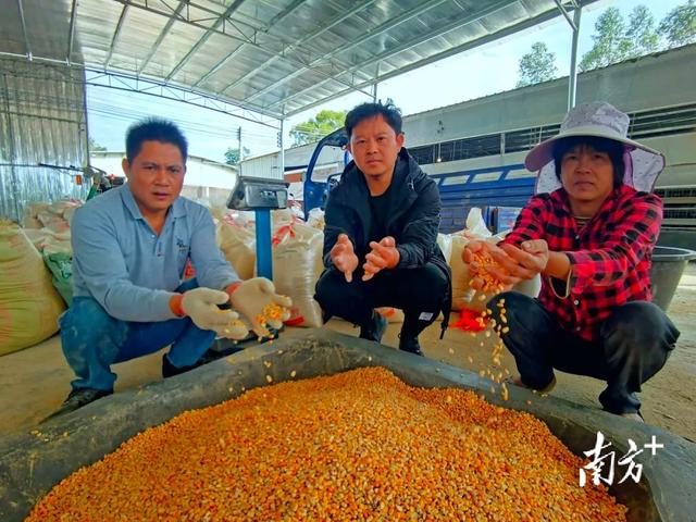 阳春青年投身现代养殖，打造“小生花蛋”农业品牌