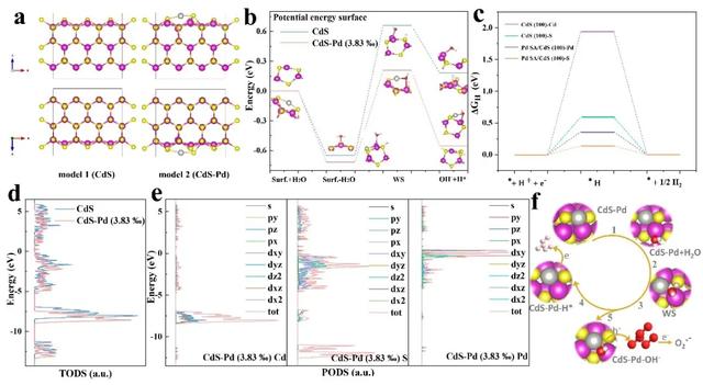陕科大｜单原子Pd修饰CdS纳米催化剂模拟日光诱导全分解水产氢