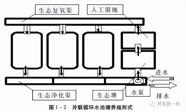 养殖池塘的规划与设计：价值多元的目标定位，提高效率的有效配置