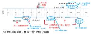 水产养殖 行业问题(浅析小龙虾产业中的几个重大问题（一）)