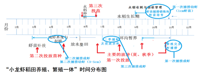 浅析小龙虾产业中的几个重大问题（一）