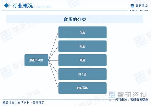 收藏！一文看懂禽蛋行业发展现状及未来市场前景（智研咨询发布）