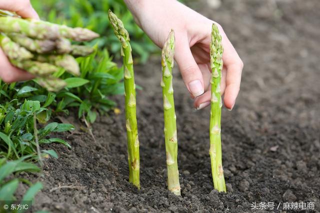 在家乡创业搞种植养殖，产品却卖不出去，怎么办？