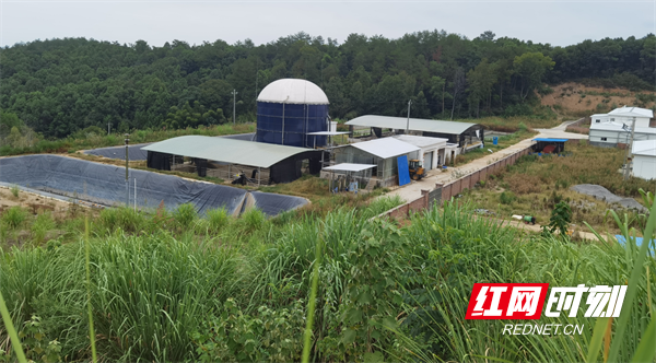 正大畜牧（石门）有限公司夹山种猪场通过国家级示范场评审