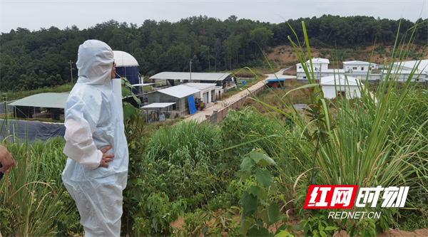 正大畜牧（石门）有限公司夹山种猪场通过国家级示范场评审