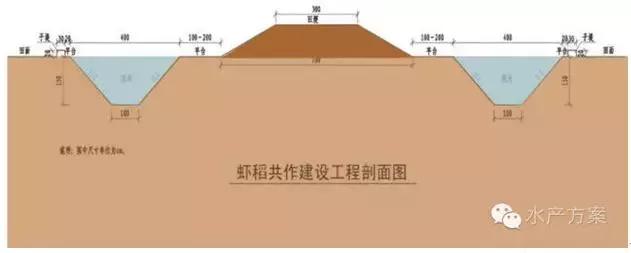 小龙虾高产秘诀：塘如何建设？虾稻坡度比多少才好？