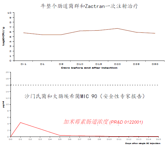 宋荣渊：育肥牛到场操作流程与应激管理