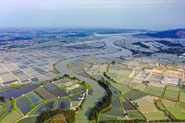 福建福清：鳗鱼淡水养殖助推乡村振兴