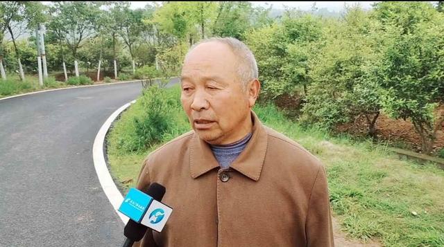 “沿着高速看河南”集中行活动之三：信阳光山县 油茶园里蹚出“致富路”