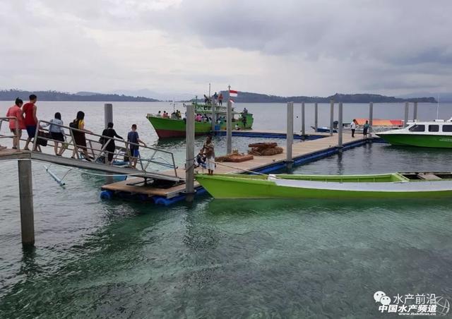 能躲避18级以上台风！堪称海水养殖神器——升降式网箱每年或为养户挽回数亿元以上的损 ……