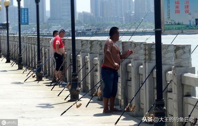 别在被谣传迷惑！营养丰富的鲶鱼不但好吃，而且钓起来也很爽