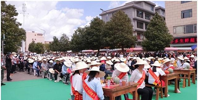 农特产品发展新路线 马龙区“驿马龙珍”区域公共品牌发布会