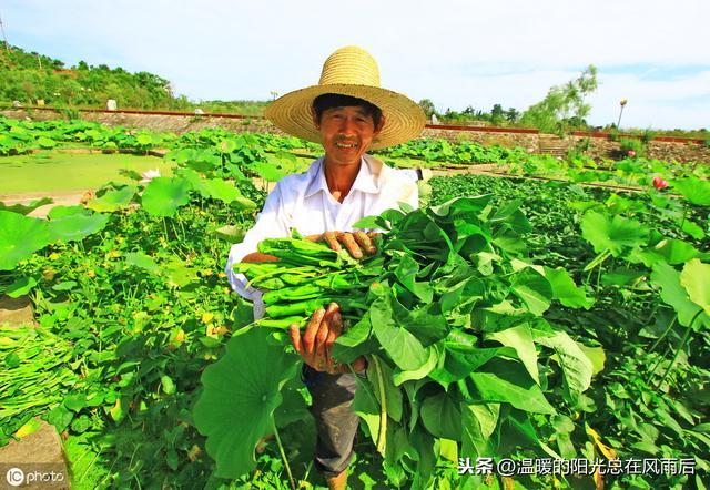 又种地，又养殖，现在的农村人太会玩了