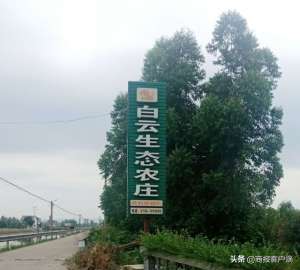 湖南鳄鱼养殖基地(“白云”深处有人家一一访湖南白云生态农业发展有限公司)