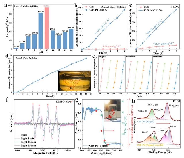 陕科大｜单原子Pd修饰CdS纳米催化剂模拟日光诱导全分解水产氢