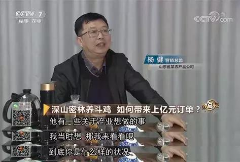 破产被追债，为救女儿性命，再次踏上创业路，如今年销千万