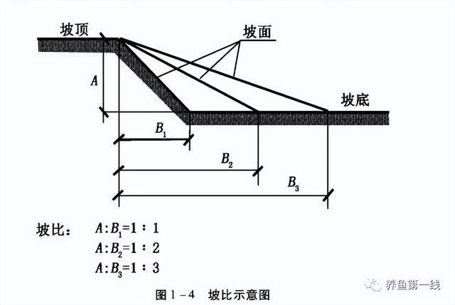 养殖池塘的规划与设计：价值多元的目标定位，提高效率的有效配置