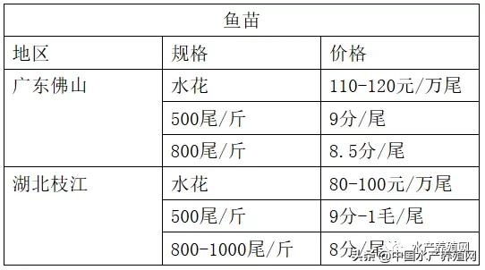 疫情反弹，形势严峻，黄颡鱼市场惨遭牵连，价格普遍下滑1-2元！未来鱼价怎么走，还要看疫情发展