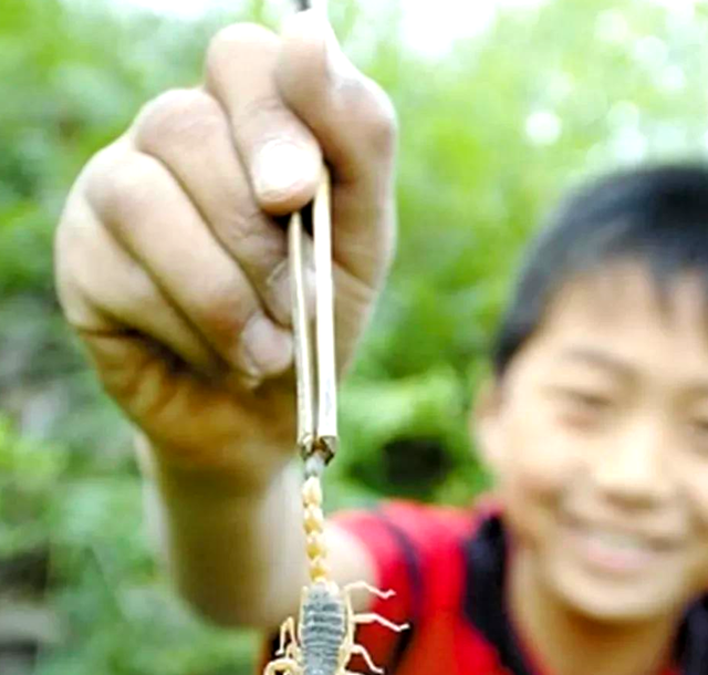 山西洪洞一男子出门抓蝎子失踪，10天后遗体在数公里外的废弃水井