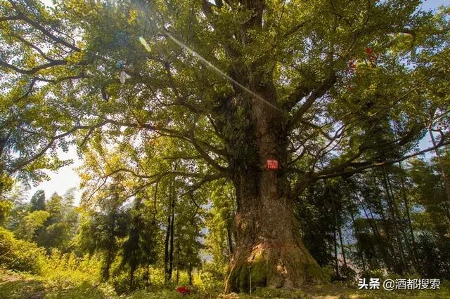 幸福苗寨，美丽仙峰