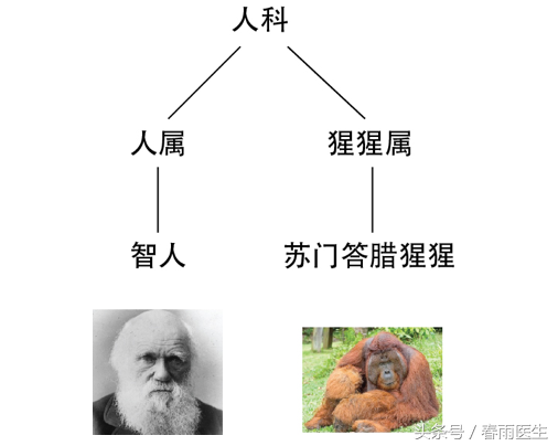 人工科学养殖的虹鳟就能完全避免寄生虫？不存在的！