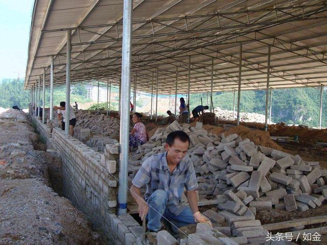 想开个养殖场却苦于没有资金？教你一个无息贷款的方法