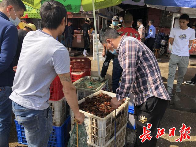 来武汉撮虾子！白沙洲农副产品大市场日批发龙虾100吨