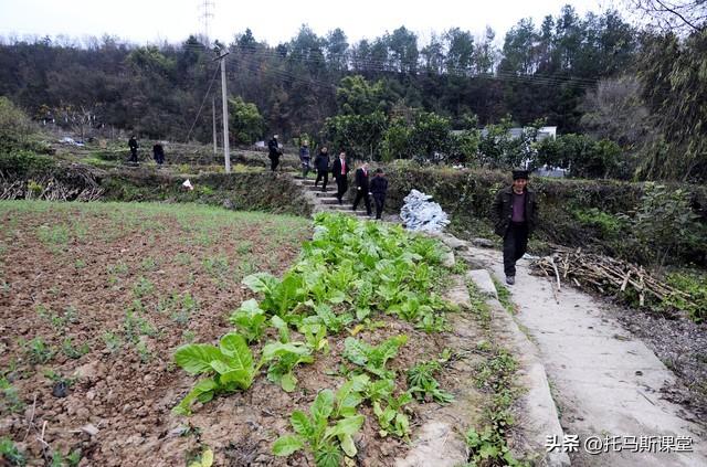 承包土地之后，在承包地建的养殖场是否违建？