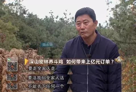 破产被追债，为救女儿性命，再次踏上创业路，如今年销千万