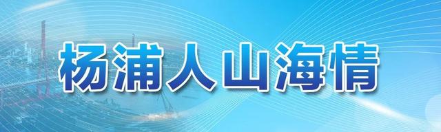 杨浦人山海情丨金江镇：“筑巢引凤”，“金猪”拱开致富门