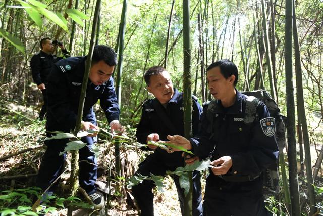 大爱！他们手握“物种仓库”钥匙，守护宜春这个神奇的地方