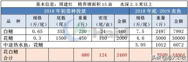 这技术牛逼！下肥成本减少37%，花鲢产量反而狂增10万斤