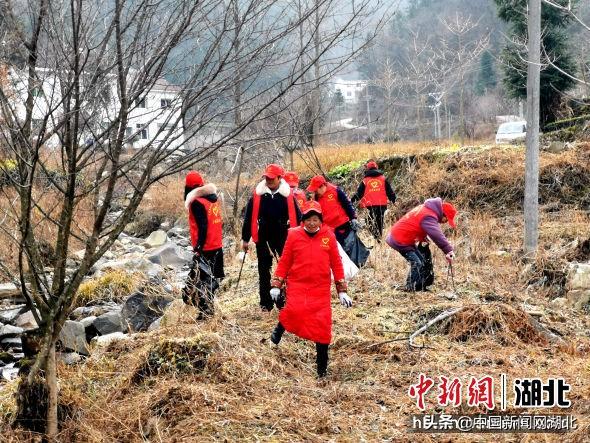 宜昌市夷陵区：“六朵金花”芬芳为民服务“最后一米”