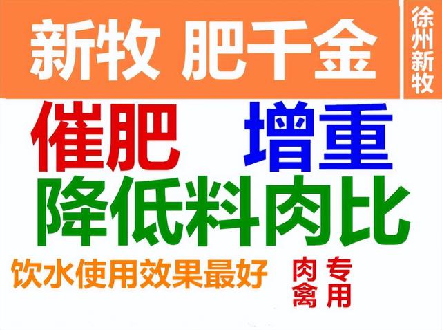 怎样养鹅增重？鹅要怎么养才能养得又大又肥？鹅怎么养长得快？