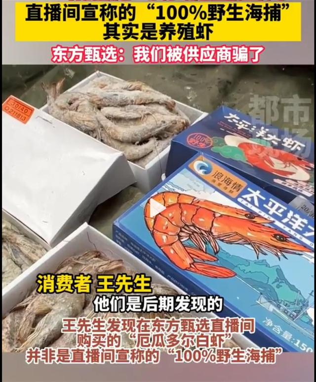 东方甄选回应养殖虾当野生虾卖，先解决好欺骗消费者的问题吧！