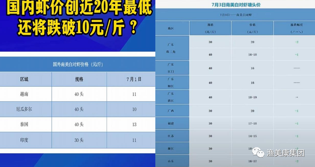 虾价低？小棚虾养殖陷入困境，养殖户熟知这3点带你轻松破局