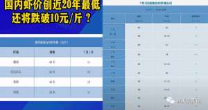 生态虾养殖(虾价低？小棚虾养殖陷入困境，养殖户熟知这3点带你轻松破局)