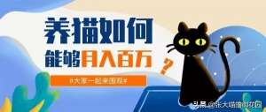 猫的养殖技术(养猫如何能够月入百万？)