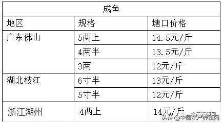 疫情反弹，形势严峻，黄颡鱼市场惨遭牵连，价格普遍下滑1-2元！未来鱼价怎么走，还要看疫情发展