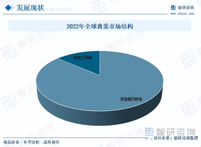 收藏！一文看懂禽蛋行业发展现状及未来市场前景（智研咨询发布）